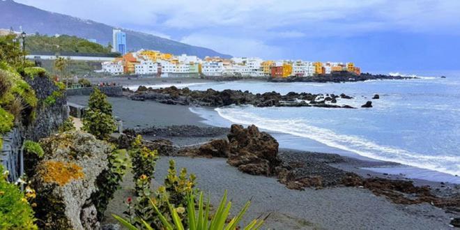 Detail Rose Daire Puerto de la Cruz  Dış mekan fotoğraf